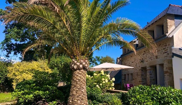 House in Port Manech, 5 minutes' walk from the beach.