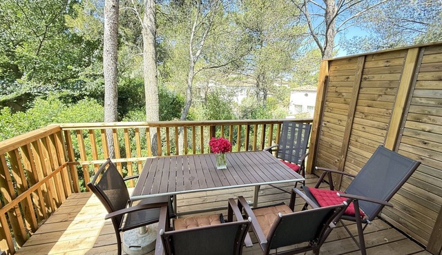 House in Provence with Pool and Air Conditioning