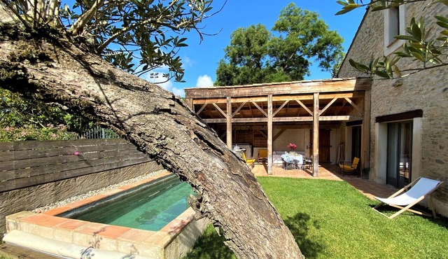 House in Saint Papoul , in the Aude Cathar country : « La Grange » to sleep 10 p