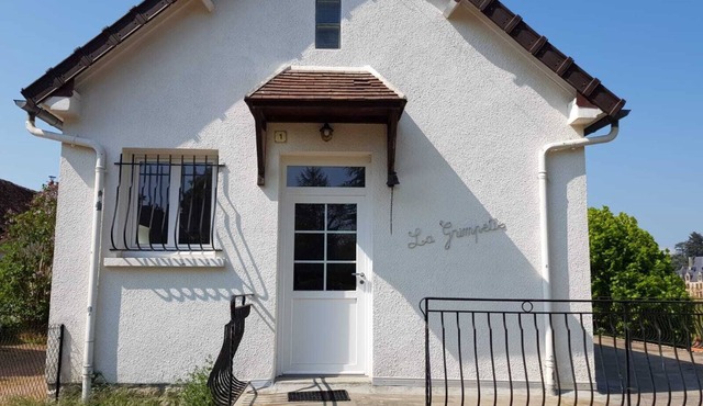 house in the countryside in the heart of Bazois with terrace (50m2) and pleasure garden