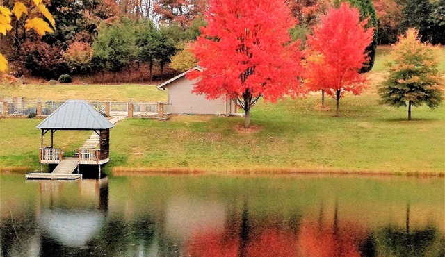 House in the Blue Ridge Mountains with a natural 2.5 acre natural pond.