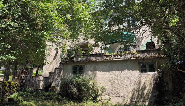 House in the green