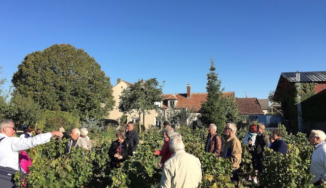 House in the heart of the village of Chablis