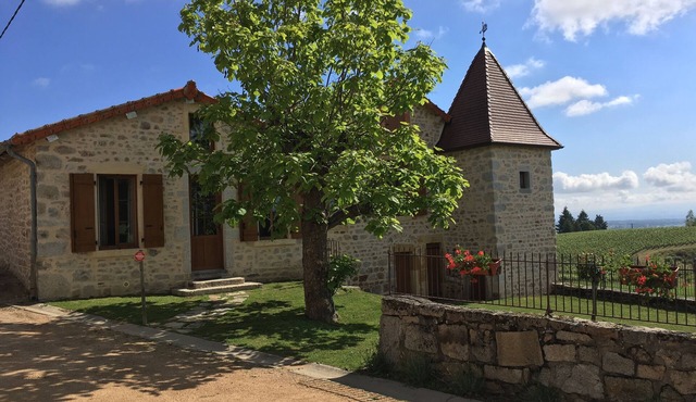 House in the heart of vineyards on a vineyard, Le Domaine de la Paroisse