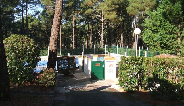 house in the pine forest, near the ocean