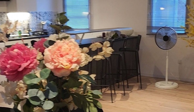 House in the village of MEREUIL in the Hautes Alpes, ideal for families.