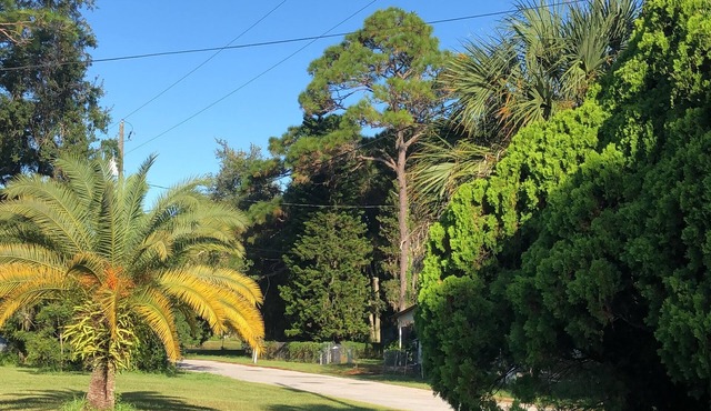 House is your House, quiet, nice and cool place, close to the beach & the river