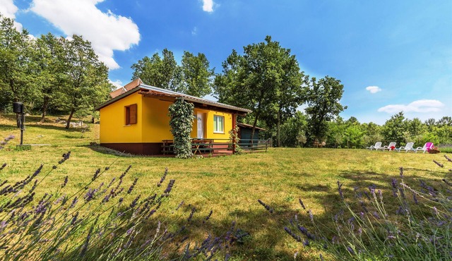 House Ivor (22201-K1) - Forčići