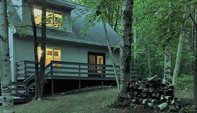 House just outside Gaylord- Quiet getaway -Wi-Fi
