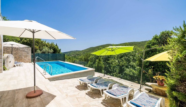 House Kočan-Four Bedroom Villa with Terrace and Swimming Pool