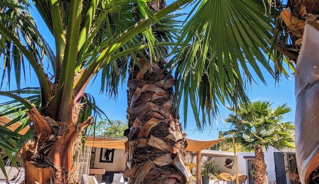 HOUSE "L'OLIVETTE" jacuzzi, heated pool, billiards, table soccer, 7KM from Nîmes