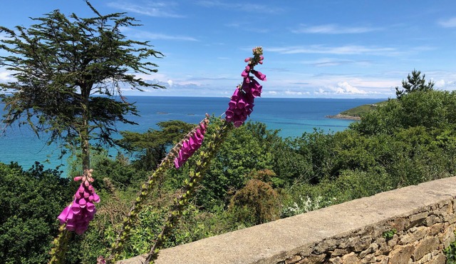 House "La Terrasse de Sophie" sea view in Plougasnou in Finistère