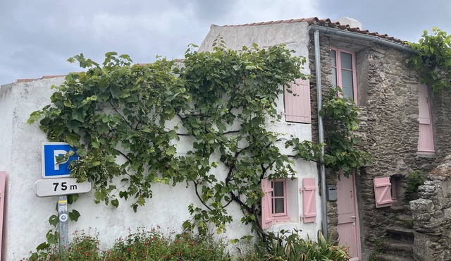 House LES VOLETS ROSES