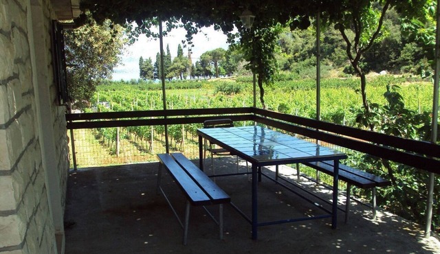 House Lidija (103631-K1) - Postira - island Brac