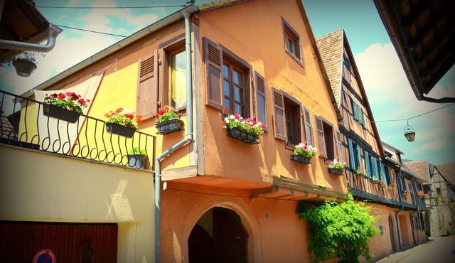 House Limeray, House Kayserberg Vineyard 10 people