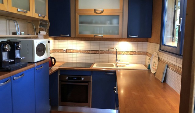 House near forest with view of Lac du Bourget