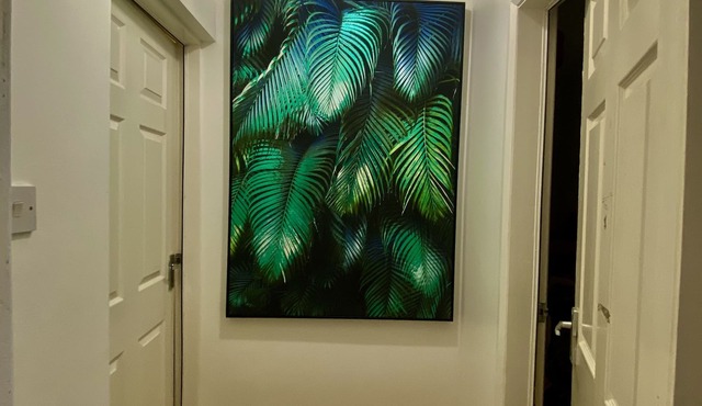 House Near Cardiff City Centre