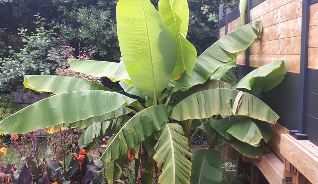 House near Certes estate and beaches