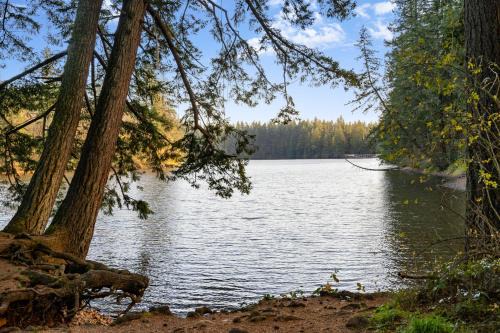 House near Lake w Beautiful Acres to Explore