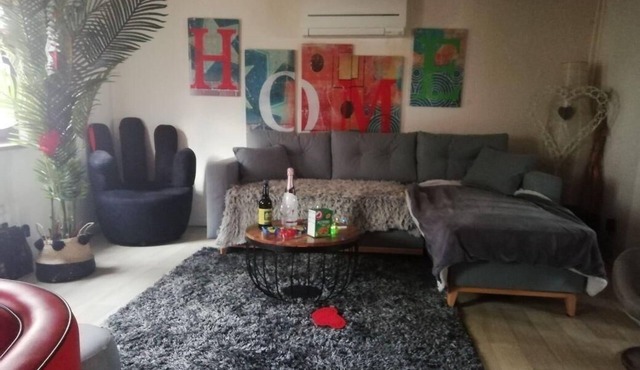 House near Strasbourg with private spa