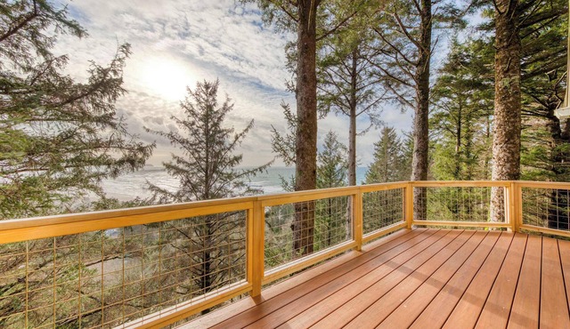 House near the beach with ocean views wood stove and telescope