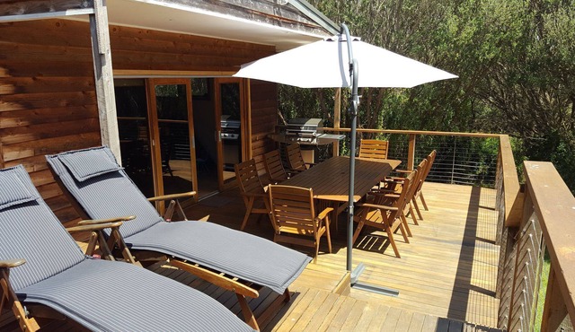 House nestled in the tea trees