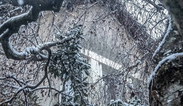 House next to Parc de Sceaux - 20 mins from Paris with train