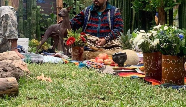 HOUSE OF ANCESTRAL MEDICINES AND MASTER PLANTS