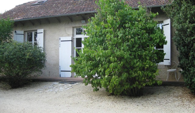 House of character restored in vineyard with park and shaded garden