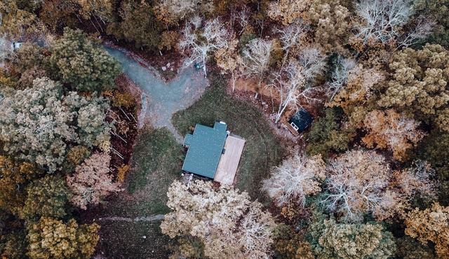 House of Four Seasons - Modern Cabin on 7 acres in Narrowsburg - dog friendly.