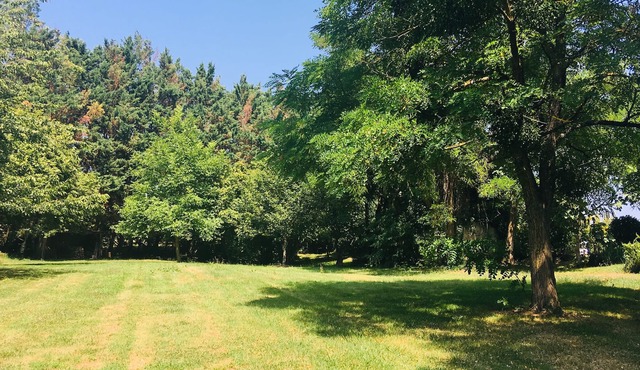 House of character in the heart of the vineyards - 4 people - very large wooded land