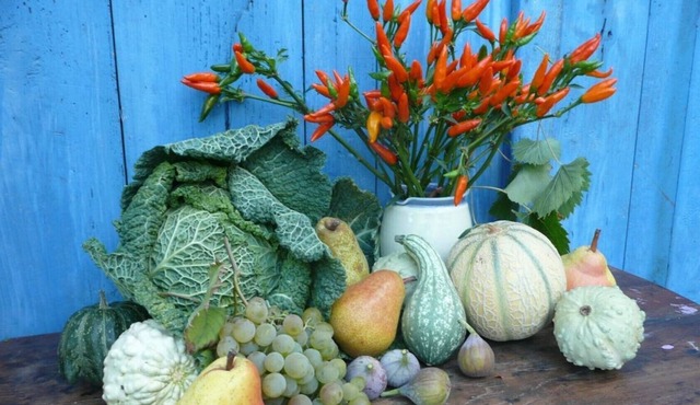 House of Masters Southern Landes full nature heated pool