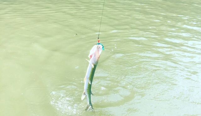 House on Goodyear Lake between Cooperstown and Oneonta