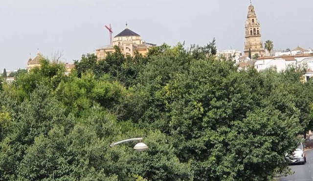 House on the banks of the river, next to the Mosque.