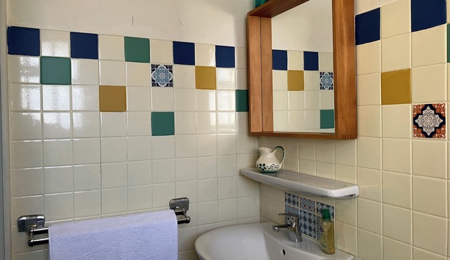 House on the Dordogne for 10 people.