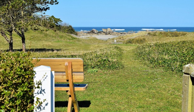 House on the dune, direct access to the beach (100m) and sea view