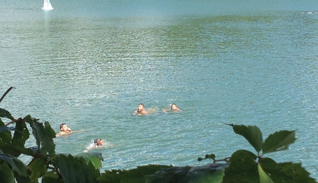 HOUSE ON THE LAKE