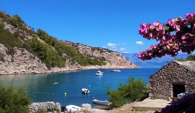 House Peacefull Relax (90961-K1) - Zastrazisce - island Hvar