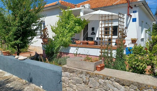 House Paisley Dream (114771-K1) - Ugljan