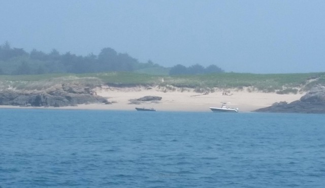 HOUSE pocket sea large garden sported and sunny