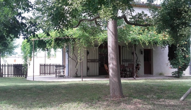 House & pool near beach, Nîmes and Montpellier