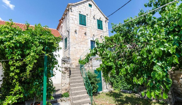 House Potok