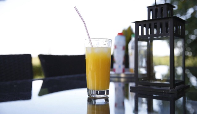 House-Private Bathroom-Premium-Garden view-Gite Villandry