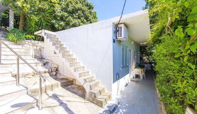 House Rose (44391-K1) - Zivogosce