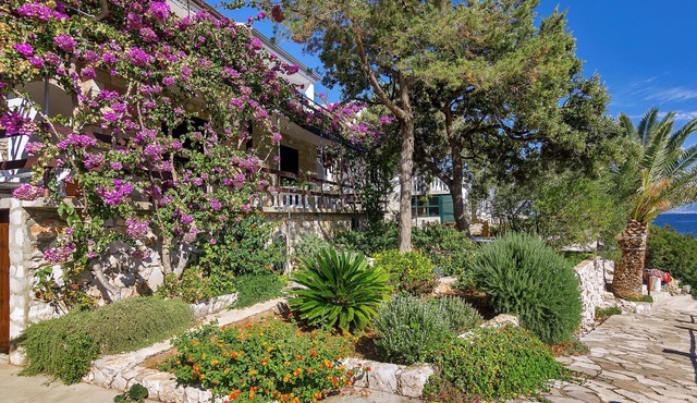 House Sea rose (57941-K1) - Zastrazisce - island Hvar