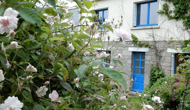 House set in a dream 5-hectare garden with footpaths and a small river.