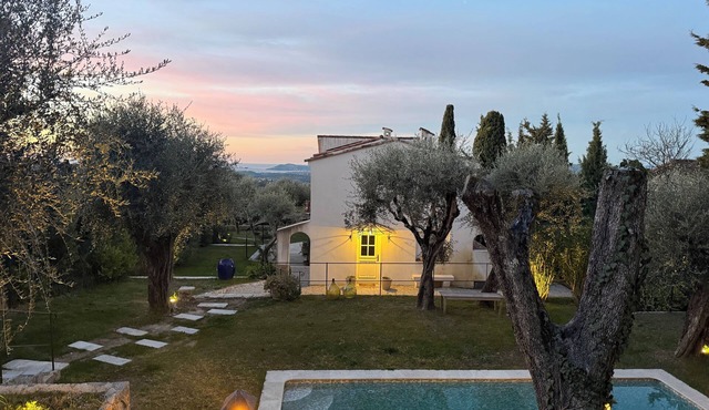 House surrounded by olive trees