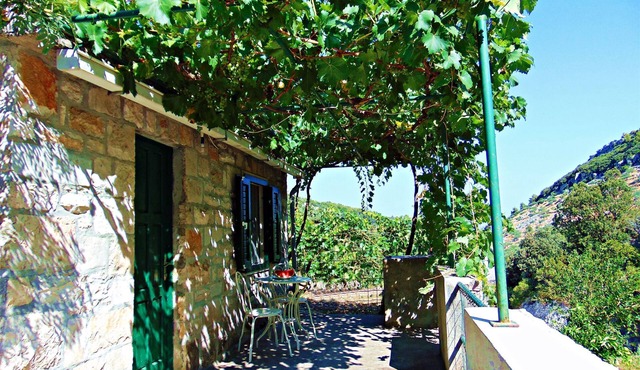 House Sv. Lovre (34642-K1) - Postira - island Brac