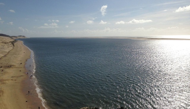 House swimming pool park in the hamlet la Teste near DUNE DU PYLA AND ARCACHO