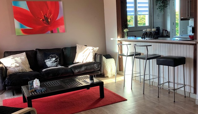 House T4 near Toulouse- garden, parking and terrace